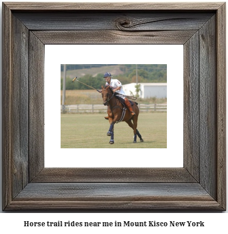 horse trail rides near me in Mount Kisco, New York